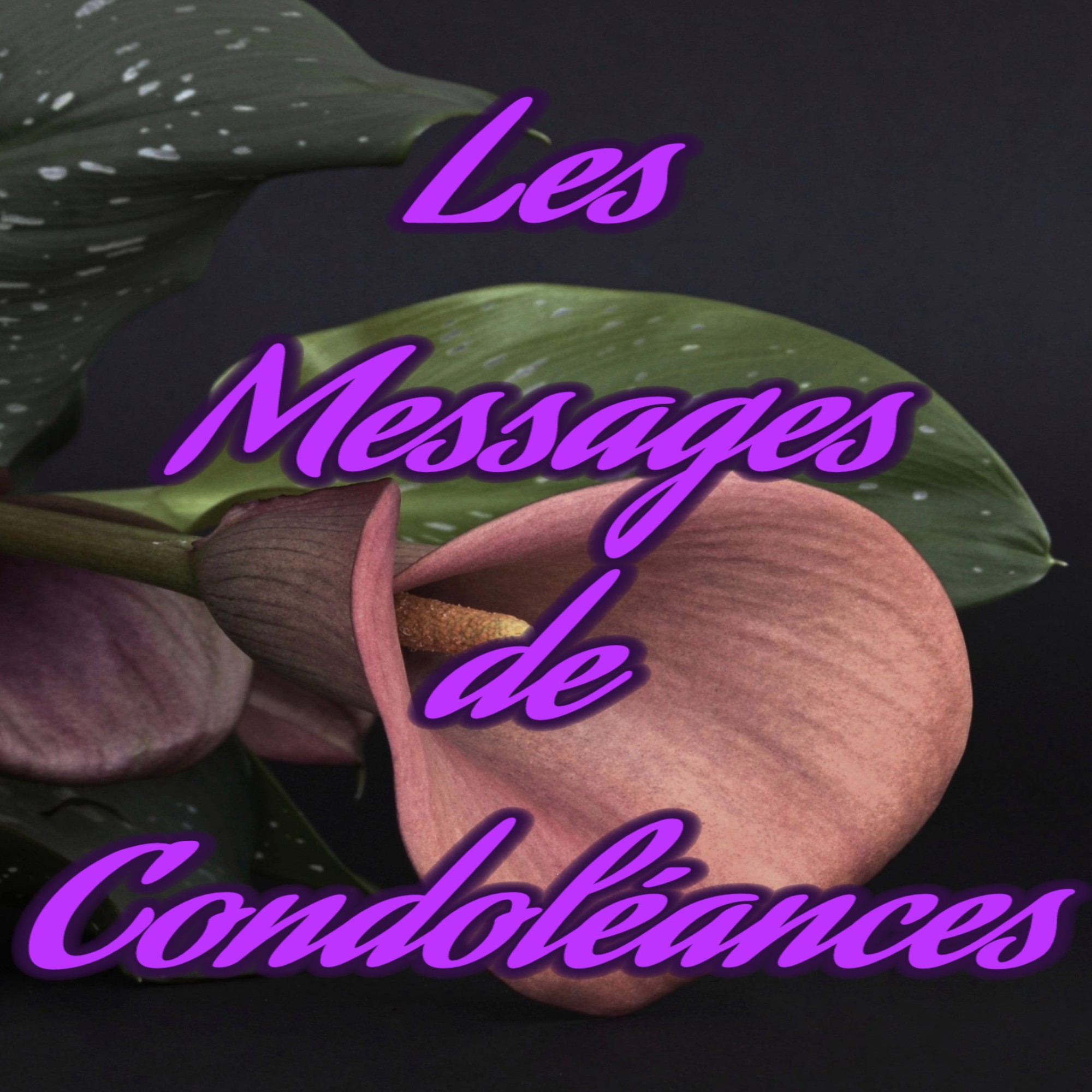 LES IDÉES DE MESSAGE DE CONDOLÉANCES